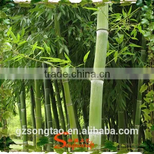 2015 Factory Direct Sale Fake Bamboo Plants, Artificial Bamboo Tree thumbnail-4