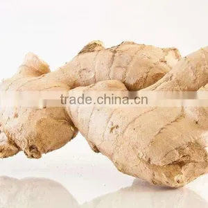 Young Ginger From China thumbnail-5