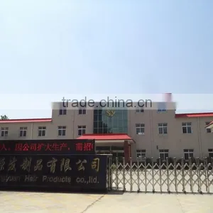 Xuchang Shengyuan Hair Products Co., Ltd. company overview - view 2 thumbnail