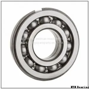 NTN Bearings thumbnail-1