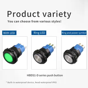 Ip65 22mm Flat and Ring Illumination Head 48v SPST Red Green Blue pc Momentary Switch thumbnail-2