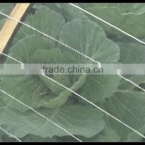 China Factory Wholesale Plastic Anti Hail and Insect Net Mesh Plant Covers thumbnail-3