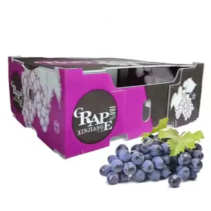 Wholesale Corrugated PP Plastic Fruit & Vegetable Crates – Custom Packaging Box Factory thumbnail-1