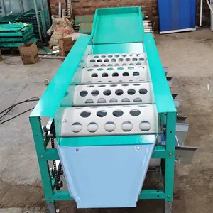 Easy Operation Barrel Stage Type Machine Persimmon Fruit Selection Machine Onion Screening Machine thumbnail-1