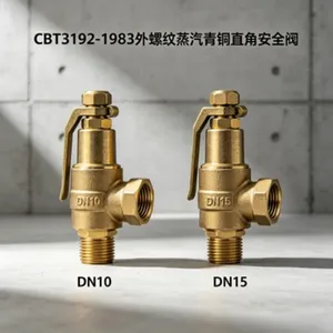 Small Size Marine Bronze Safety Valve DN10 DN15 for Vessel Steam Pipeline thumbnail-5