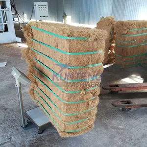 Heavy Duty Palm Fiber Baler Machine Automatic Hydraulic Coconut Shell Fiber Briquette Press Recycling Equipment thumbnail-3