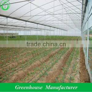 Tomato Greenhouse for Sale thumbnail-1