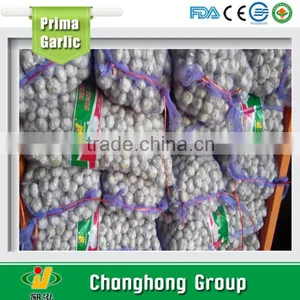 2016 New Crop Garlic Start to be Harvest thumbnail-1