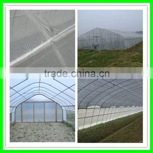 Fruit Vegetable Net/Insect Nets/Fly Net thumbnail-4