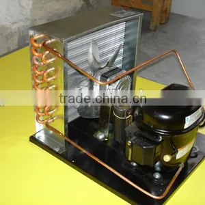 Danfoss Compressor Condensing Unit R22 R134a R404a R507a for Refrigeration Display Cabinet thumbnail-1