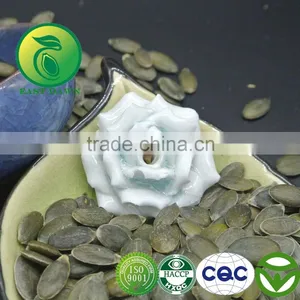 Pumpkin Seeds Kernels GWS (Grown Without Shell) Grade AA thumbnail-1