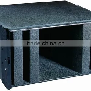 Professional Speaker thumbnail-1