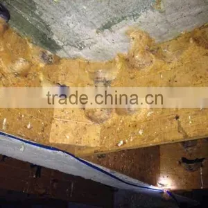 100% Pure Unprocessed Swiftlet Bird Nest thumbnail-1