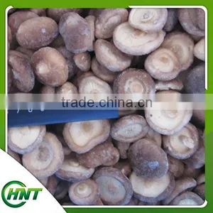 Frozen Shiitake Mushroom Iqf Shiitake Mushrooms thumbnail-3