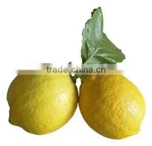 Lemon Oil thumbnail-1