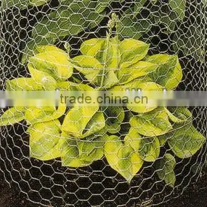 Hexagonal Retaining Wire Netting thumbnail-1