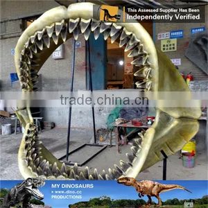 MY DINO-O07 Museum Replica Life Size Marine Animal Skeleton Megalodon Jaws Fossil thumbnail-1