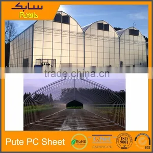 Commercial Greenhouses Polycarbonate Clear Plastic Roofing Sheet thumbnail-2