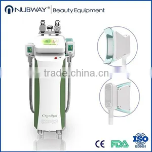 Ultrasound Fat Freezing Weight Loss Machine Beauty Salon Equipment thumbnail-1