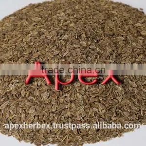Dill Seed / Anthem Graveolens / Suwa thumbnail-1