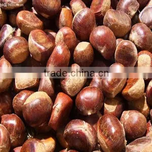 Sweet Chinese Peeled Boiled Chestnut thumbnail-1