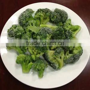 Premium Quality Frozen Broccoli With Good Price thumbnail-1