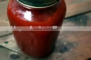 Tomato Paste, ( Sachet Tomato Paste, Canned Tomato Paste, Tinned Tomato Paste thumbnail-1