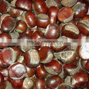 New Crop High Quality Chinese Fresh Chestnut thumbnail-1