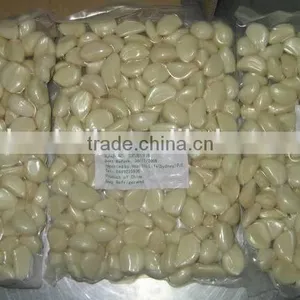 Chinese Exported Peeled Garlic thumbnail-1