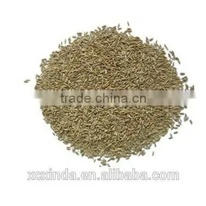 2015 New Cumin Seeds thumbnail-1