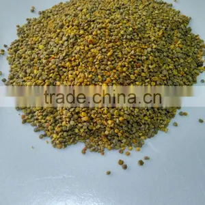 Sweet Beautiful Pollen From China Bulk Bee Pollen thumbnail-2