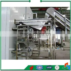 China IQF Frozen Fruit Freezer Quick Freezing Machine thumbnail-5