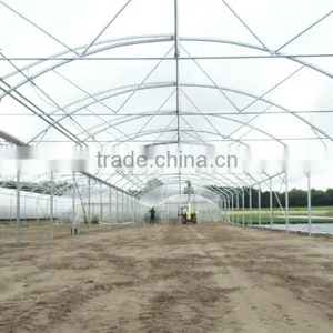 High Quality Greenhouse Roofing Material for Sale thumbnail-3