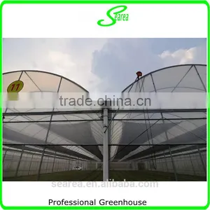 Multi Span Vegetable Greenhouse for Sale thumbnail-3