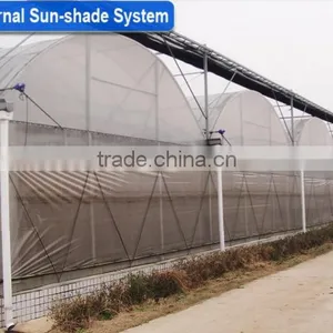 Professional Multi-Span Pvc Covered Greenhouse For Agricultural Planting thumbnail-4