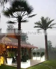Beijing Palm Technique Development Co., Ltd. company overview - view 3 thumbnail