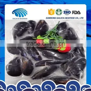 Hot Sale Frozen Cooked Mussels in Full Shell thumbnail-1