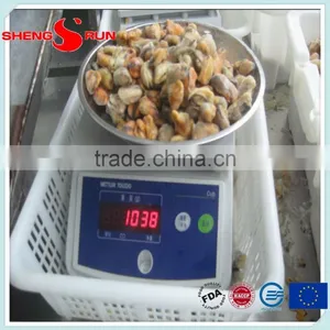 Frozen Boiled Mussel Meat thumbnail-3