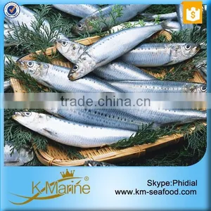 Frozen Wholesale Sardines Seafood Fish thumbnail-1