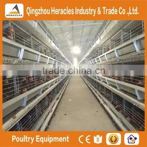 Heracles Factory Price Poultry Equipment Automatic Layer Chicken Egg Cages thumbnail-3