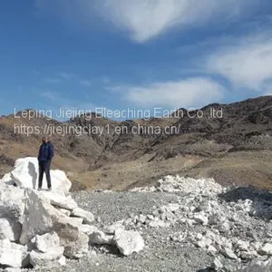 Gypsum Retarder Powder Manufacturers Plaster Powder thumbnail-3