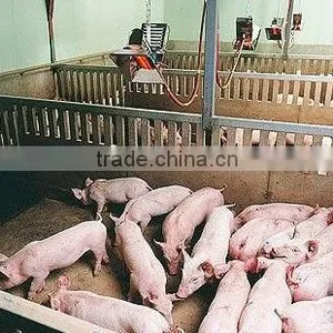 Infrared Catalyst Gas Heater for Poultry Farm (HD2606) thumbnail-5
