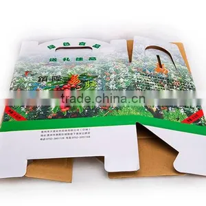 Custom Packaging Corrugated Cardboard Boxes for Fruit and Vegetable thumbnail-2