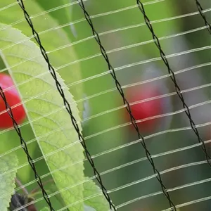 Leno Weave Anti Hail Net HDPE PE Material Anti Hail Net for Orchard Farm thumbnail-4