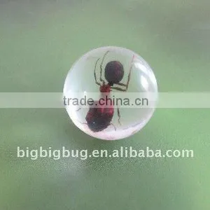 R25S31 Marble With Insect Embedded thumbnail-1