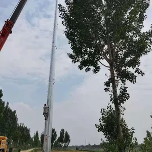 15-60m Monopole Telecom Tower thumbnail-4