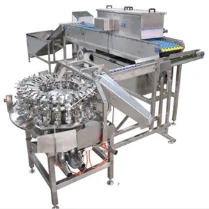 Pasteurized Liquid Egg & Egg Powder Processing Line thumbnail-1