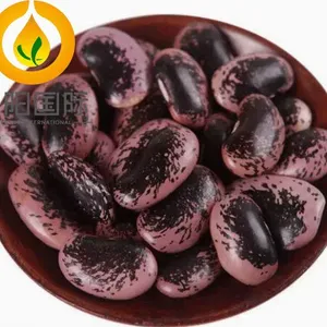 Hot Selling New Crops With Export Price Black Speckled Pinto Kidney Bean thumbnail-1
