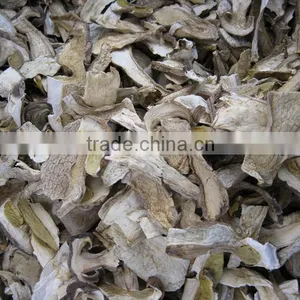 Wild Dried White Porcini Mushroom thumbnail-4