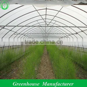 Uv Film Single Span Greenhouse thumbnail-1